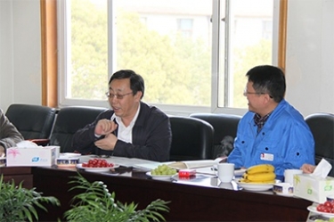 2013年3月18日，时任国度工信部节能司副司长杨铁生一行莅临公司参观领导
