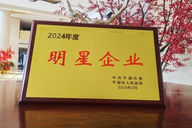 新春新景新形象 | 888集团电子游戏(中国游)有限公司官网纸业在平湖三干大会上喜摘荣誉！